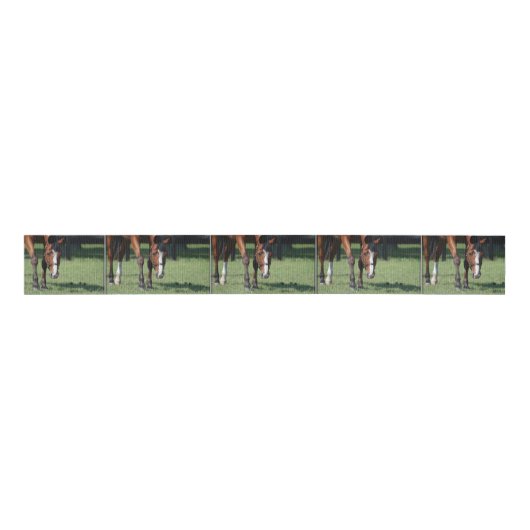 Herrlicher Quarterhorse Ripsband (Vorderseite)