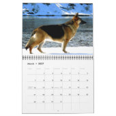 Herrlicher Schäferhund-Hundekalender Kalender (Mär 2027)
