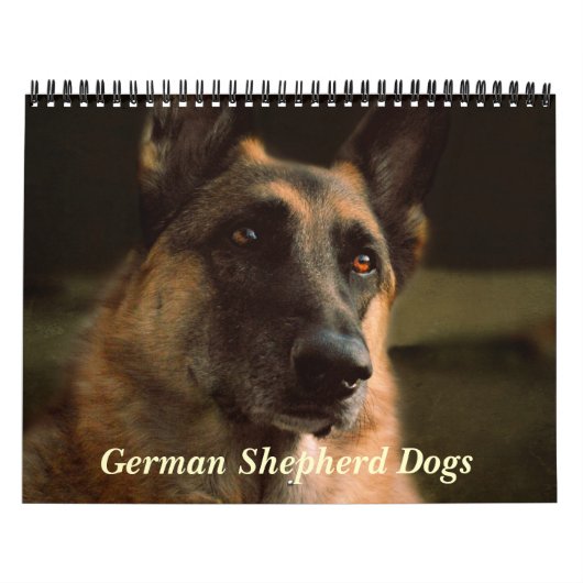 Herrlicher Schäferhund-Hundekalender Kalender (Titelbild)