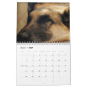 Herrlicher Schäferhund-Hundekalender Kalender (Mär 2027)