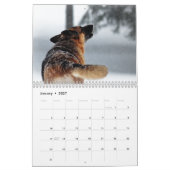 Herrlicher Schäferhund-Hundekalender Kalender (Jan 2027)