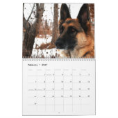 Herrlicher Schäferhund-Hundekalender Kalender (Feb 2027)