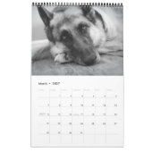 Herrlicher Schäferhund-Kalender Kalender (Mär 2027)