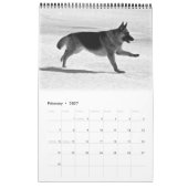 Herrlicher Schäferhund-Kalender Kalender (Feb 2027)