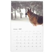 Herrlicher Schäferhund-Kalender Kalender (Jan 2027)