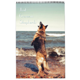 Herrlicher Schäferhund-Kalender Kalender