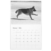 Herrlicher Schäferhund-Kalender Kalender (Feb 2026)