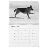 Herrlicher Schäferhund-Kalender Kalender (Feb 2026)