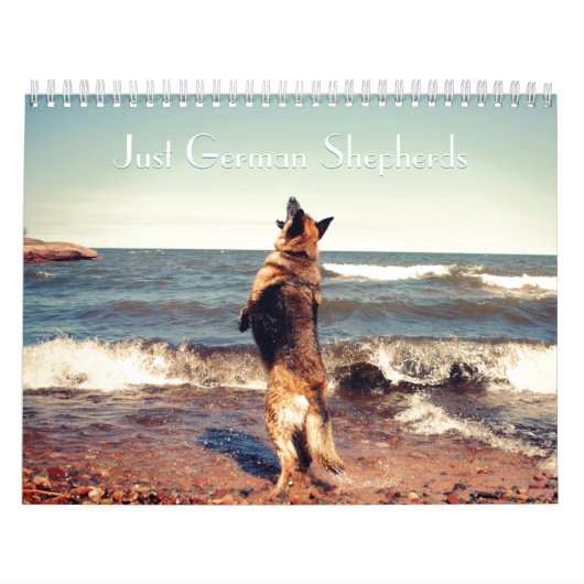 Herrlicher Schäferhund-Kalender Kalender (Titelbild)