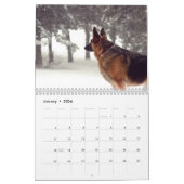Herrlicher Schäferhund-Kalender Kalender (Jan 2026)