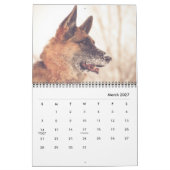 Herrlicher Schäferhund-Kalender Kalender (Mär 2027)