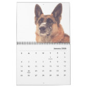 Herrlicher Schäferhund-Kalender Kalender (Jan 2026)