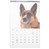 Herrlicher Schäferhund-Kalender Kalender (Jan 2027)