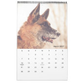 Herrlicher Schäferhund-Kalender Kalender (Mär 2027)