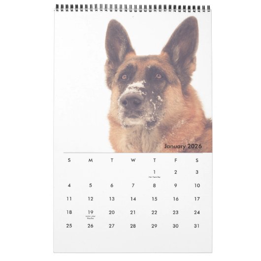Herrlicher Schäferhund-Kalender Kalender (Jan 2026)