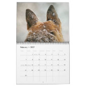 Herrlicher Schäferhund-Kalender Kalender (Feb 2027)