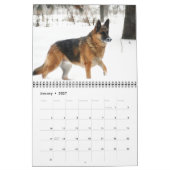 Herrlicher Schäferhund-Kalender Kalender (Jan 2027)
