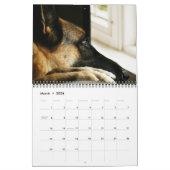Herrlicher Schäferhund-Kalender Kalender (Mär 2026)