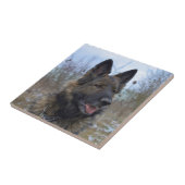 Herrlicher Schwarz-gesattelter Schäferhund Fliese (Seite)