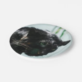 Herrlicher schwarzer Panther Pappteller (Schrägansicht)