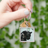 Herrlicher schwarzer Panther Schlüsselanhänger (Hand)