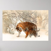 Herrlicher Tiger und Keule im Schnee Poster (Vorne)