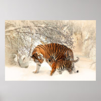 Herrlicher Tiger und Keule im Schnee