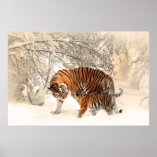 Herrlicher Tiger und Keule im Schnee Poster (Vorne)