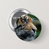 Herrliches bengalisches Tiger-Gesicht Button (Vorne & Hinten)