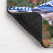 Herrliches blaues Jay Mousepad (Ecke)