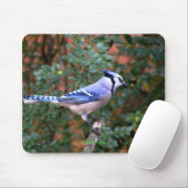 Herrliches blaues Jay Mousepad (Mit Mouse)