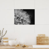 Herrliches Detail Pusteblume in schwarz weiß Poster (Küche)