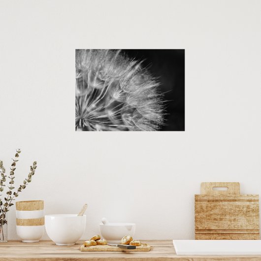 Herrliches Detail Pusteblume in schwarz weiß Poster (Küche)