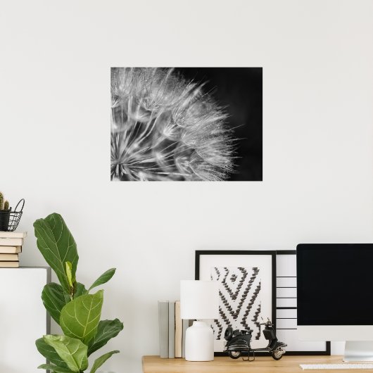 Herrliches Detail Pusteblume in schwarz weiß Poster (Heimbüro)