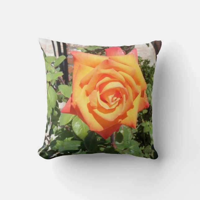 Herrliches Kissen mit orange Rose von der (Vorderseite)