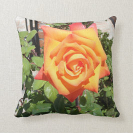 Herrliches Kissen mit orange Rose von der