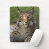 herrliches Luchsstillstehen Mousepad (Mit Mouse)
