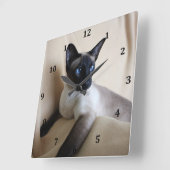 Herrliches siamesische Katzen-Gesicht Quadratische Wanduhr (Winkel)