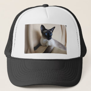 Herrliches siamesische Katzen-Gesicht Truckerkappe