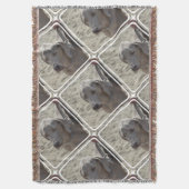 Herrliches Weimaraner Decke (Vorderseite Vertikal)