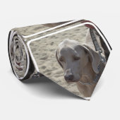 Herrliches Weimaraner Krawatte (Gerollt)