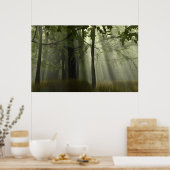 Herrlichkeit der Banyans Poster (Küche)