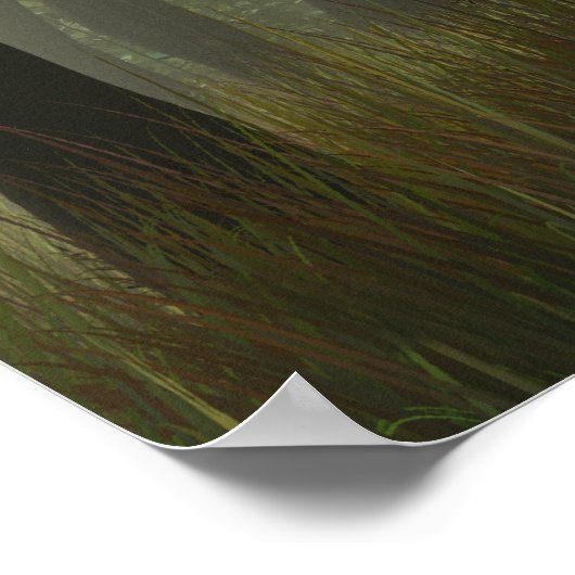 Herrlichkeit der Banyans Poster (Ecke)