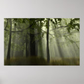 Herrlichkeit der Banyans Poster (Vorne)