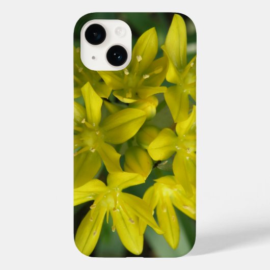 Herrlichkeit des Schnees Case-Mate iPhone Hülle (Rückseite)