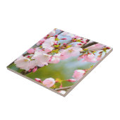 Herry Blossom Nah Fliese (Seite)