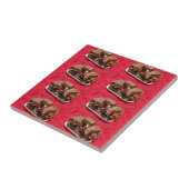Herry Chocolate Marshmallow Fudge auf einer Platte Fliese (Seite)