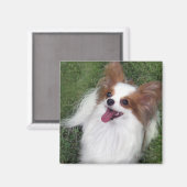 Hershey Kiss Hero Kennel Merchandise Magnet (Vorderseite/Rückseite)