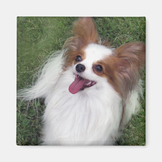 Hershey Kiss Hero Kennel Merchandise Magnet (Vorne)