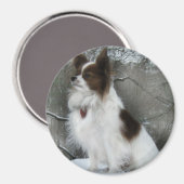 Hershey Kiss Hero Kennel Merchandise Magnet (Vorderseite/Rückseite)